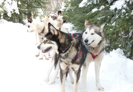 moto neige quebec